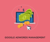 adwords marketing expert