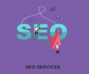 seo in india